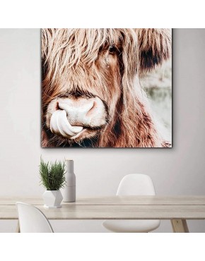 Animal sauvage Highland vache affiche toile peinture imprime mur Art photos pour salon décorations pour la maison cadeau 50x50 cm sans cadre B08T19H1Z7
